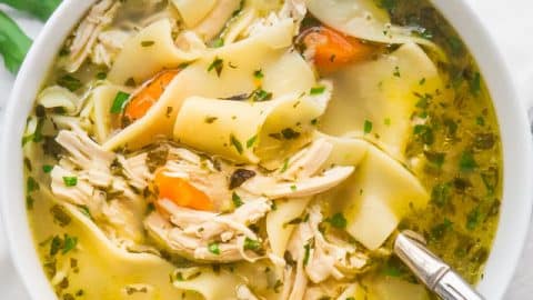 chicken noodle soup